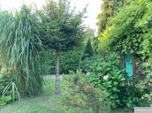 Działka rod Racibórz, ul. Opawska. Zdjęcie 4