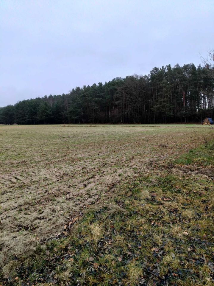 Działka rolna Stoki. Zdjęcie 6