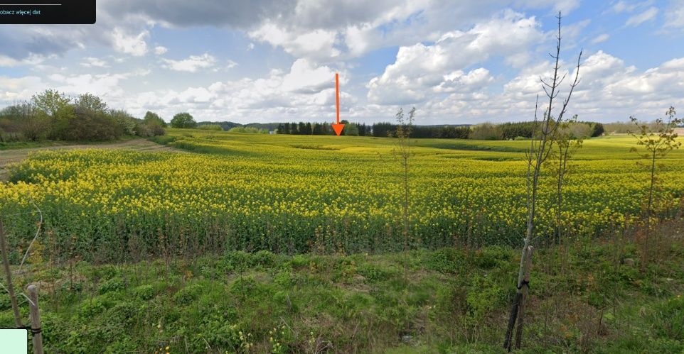 Działka rolno-budowlana Wilnowo. Zdjęcie 1