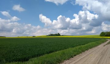 Działka budowlana Sieroty, ul. Kasztanowa