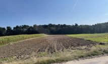 Działka budowlana Sękowo. Zdjęcie 1