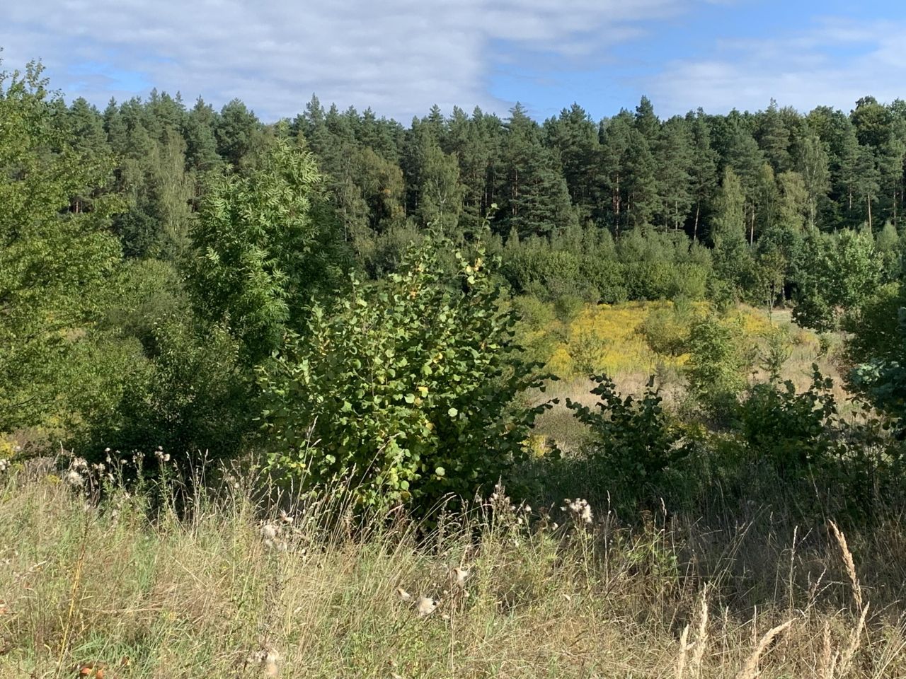 Działka budowlana Olsztyn