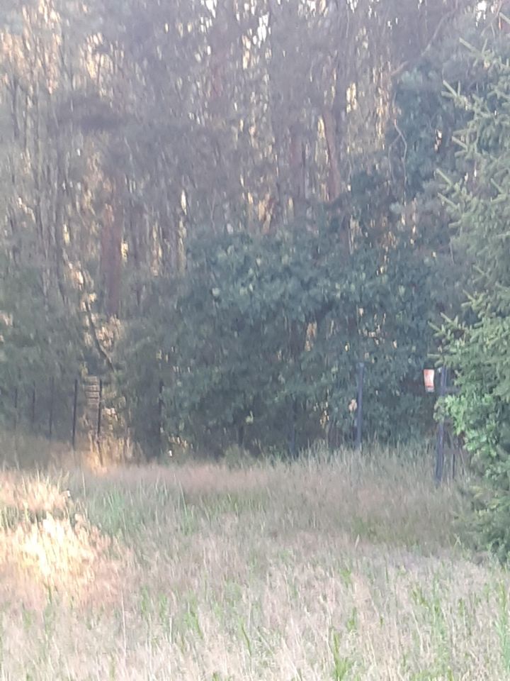 Działka budowlana Przyborowo, ul. Aladyna. Zdjęcie 3