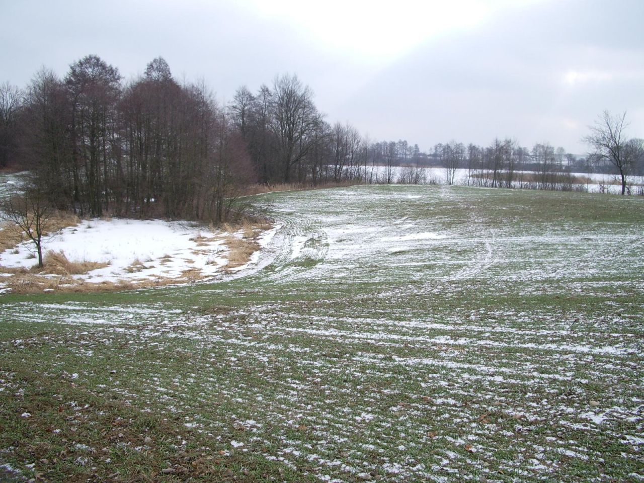Działka rolna Kaszewo. Zdjęcie 3