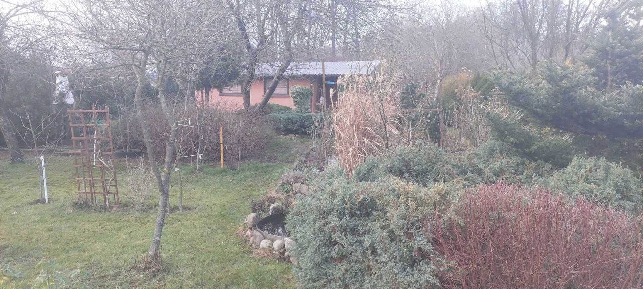 Działka rod Bełchatów, ul. Czapliniecka. Zdjęcie 2