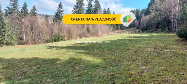 Działka siedliskowa Borzęta. Zdjęcie 1