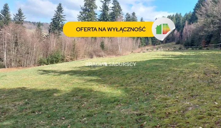 Działka siedliskowa Borzęta