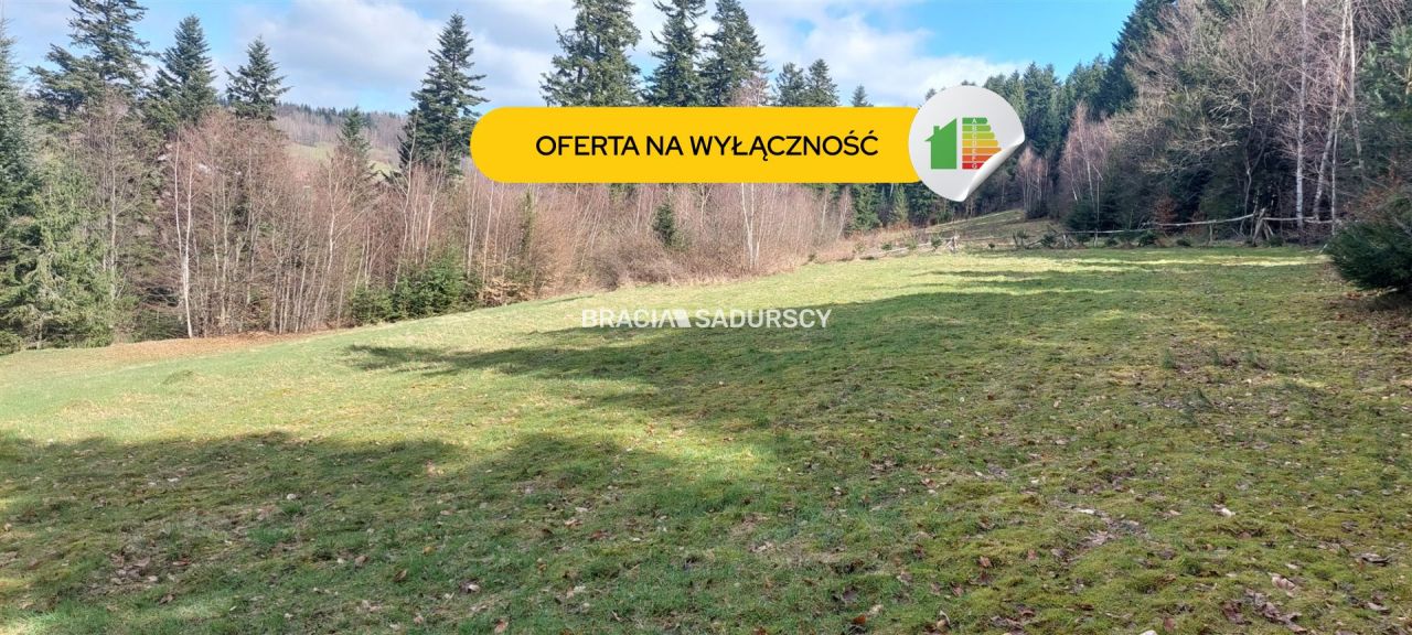 Działka siedliskowa Borzęta. Zdjęcie 1