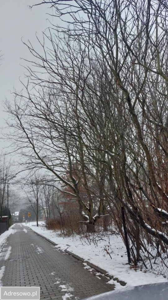 Działka budowlana Granica, ul. Gościnna. Zdjęcie 12