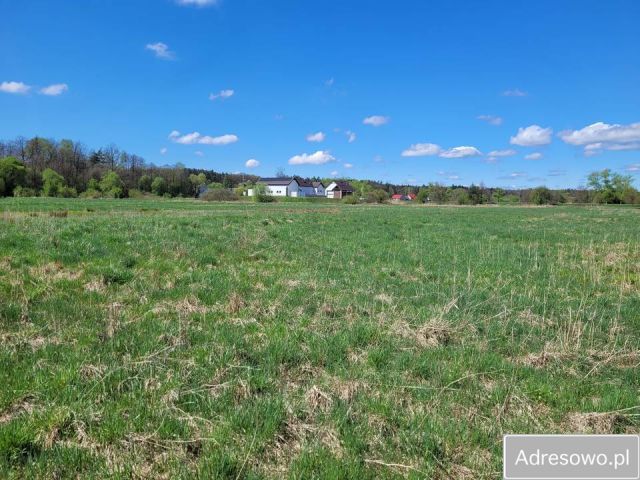 Działka inwestycyjna Przeginia Duchowna, ul. Śląska. Zdjęcie 1