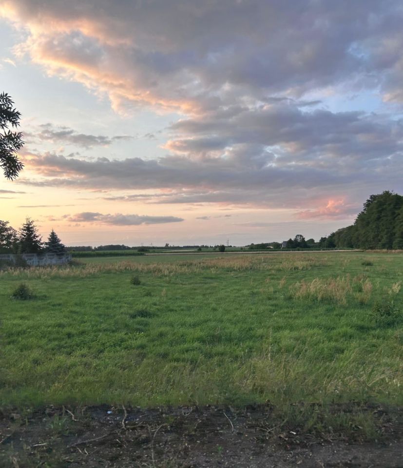 Działka inwestycyjna Żytowice. Zdjęcie 3
