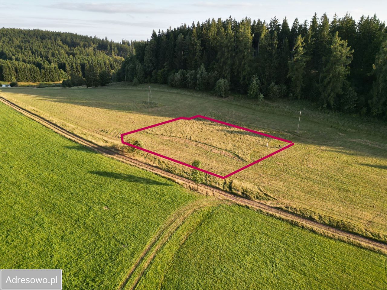 Działka budowlana Sierpnica. Zdjęcie 5