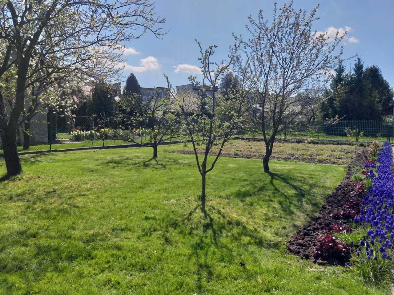 Działka rod Kielce. Zdjęcie 6