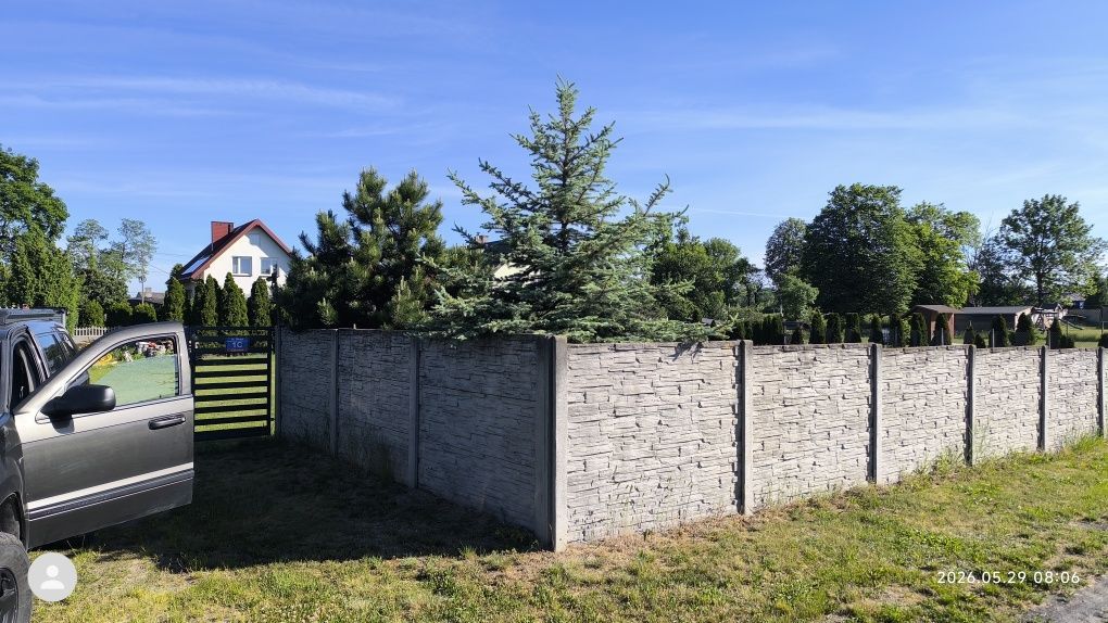 Działka rolno-budowlana Cekanów. Zdjęcie 2