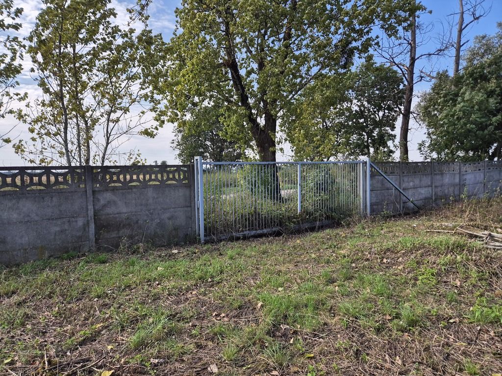 Hala/magazyn Skórzewo. Zdjęcie 6