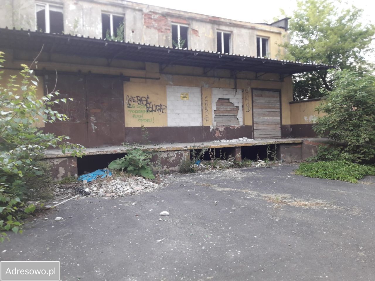 Hala/magazyn Legnica, ul. Bolesława Prusa. Zdjęcie 8