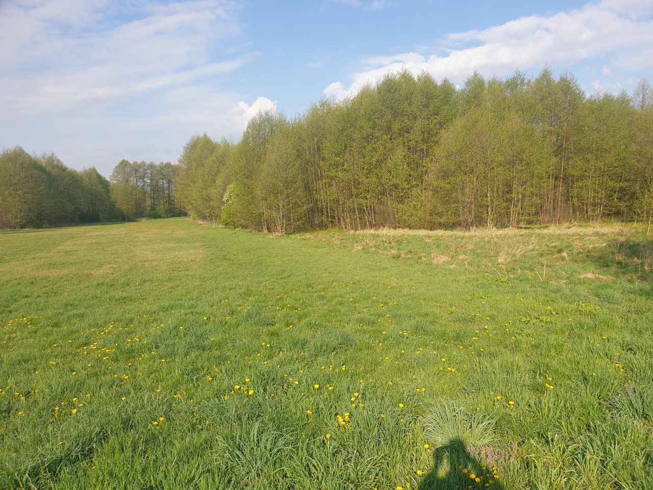 Działka budowlana Biała Róża. Zdjęcie 4