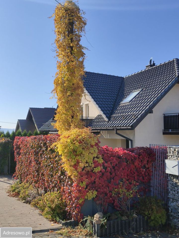 dom wolnostojący, 5 pokoi Świątniki Górne Gierasówki, ul. Myślenicka. Zdjęcie 5