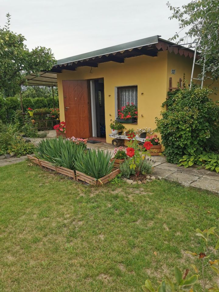 Działka rod Piła. Zdjęcie 7