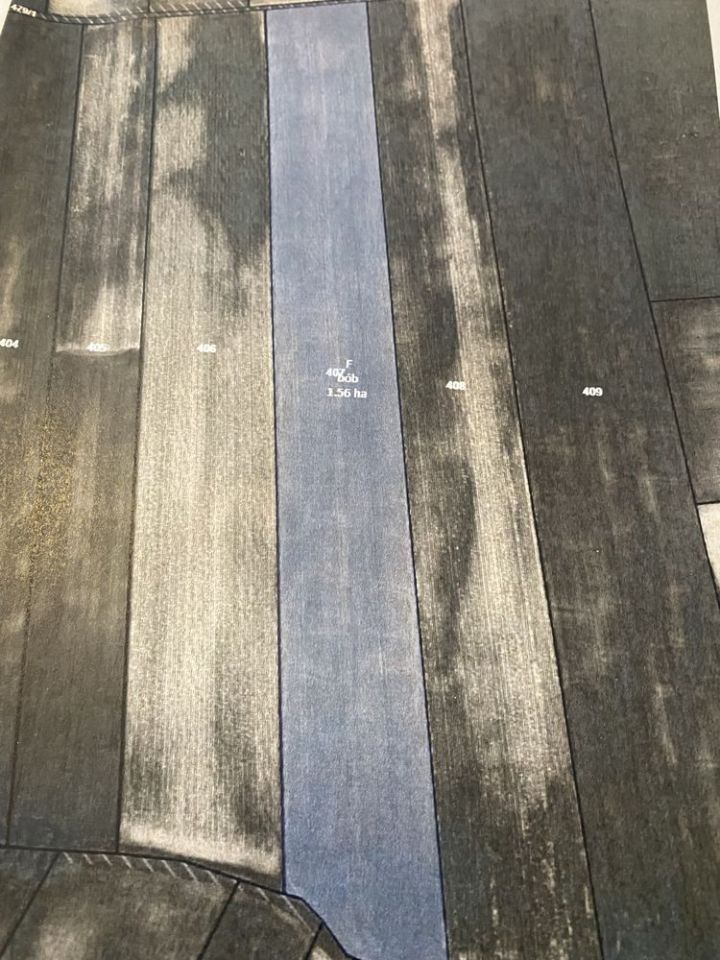 Działka rolna Zielenice. Zdjęcie 1