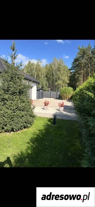 dom wolnostojący, 3 pokoje Silno. Zdjęcie 3