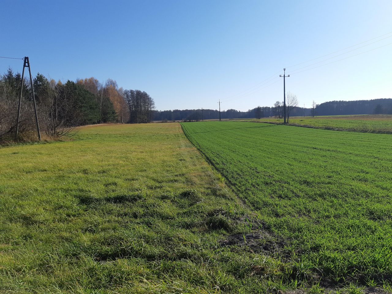 Działka budowlana Prostyń. Zdjęcie 6