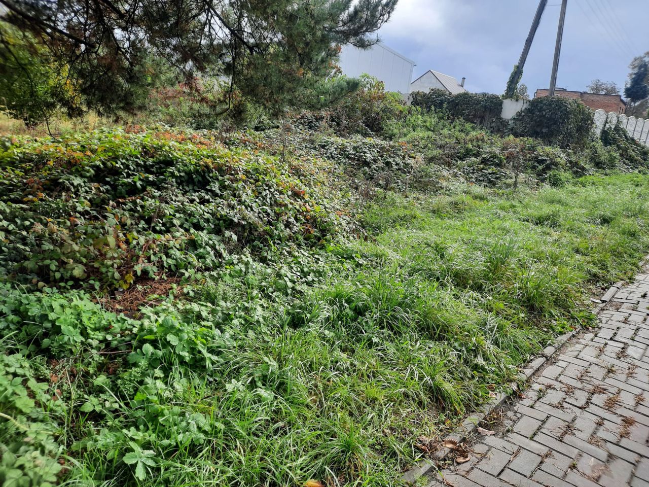 Działka budowlana Potaśnia, ul. Gruszowa. Zdjęcie 8