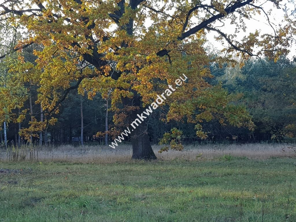 Działka budowlana Makówka, mmm.mkwadrat.eu. Zdjęcie 7