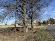 Działka rekreacyjna Pieńki. Zdjęcie 1