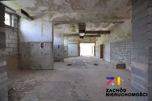 Hala/magazyn Nowogród Bobrzański. Zdjęcie 2