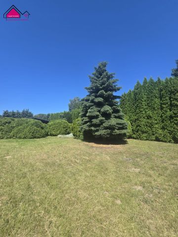 Działka rekreacyjna Złotowo. Zdjęcie 12