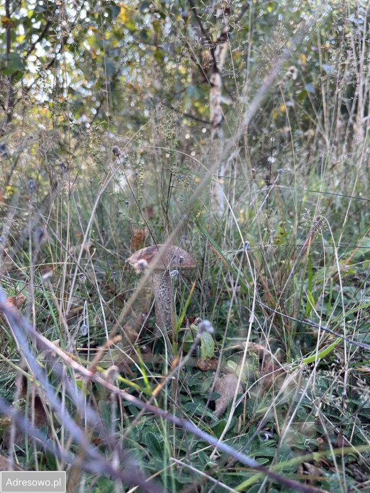 Działka budowlana Nakla, ul. Glinowska. Zdjęcie 4