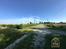 Działka siedliskowa Płouszowice-Kolonia. Zdjęcie 4