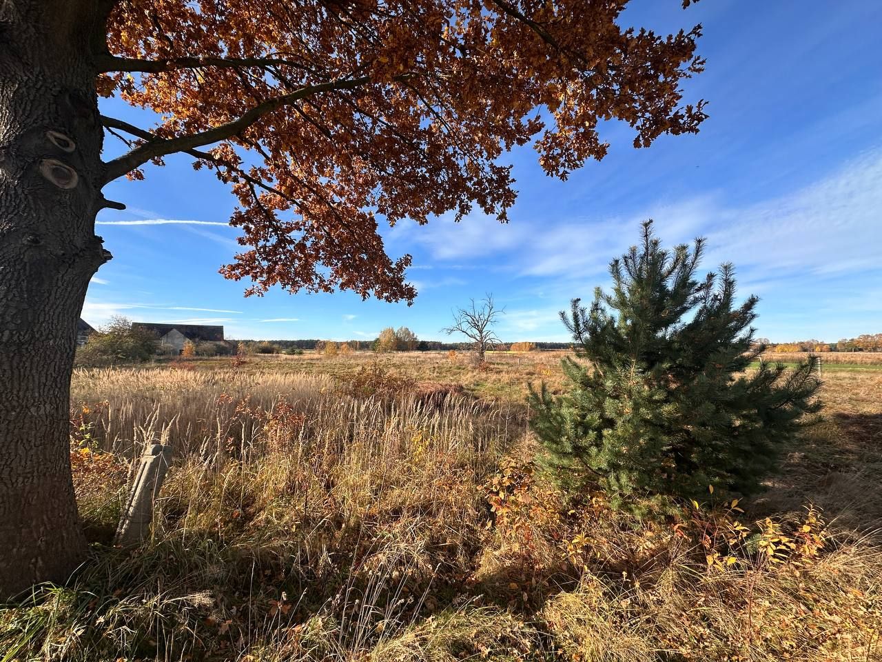 Działka budowlana Chudzowice. Zdjęcie 20