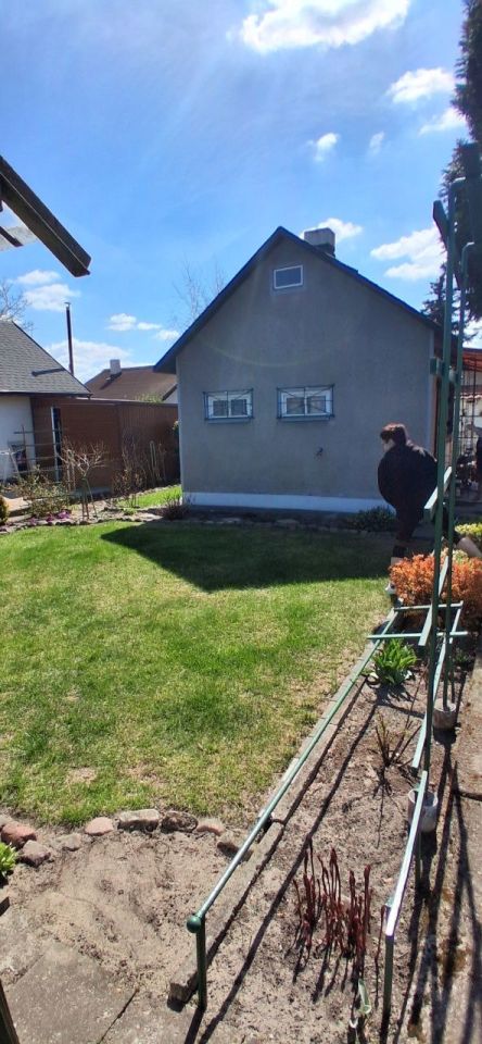 Działka rod Toruń Rudak. Zdjęcie 2