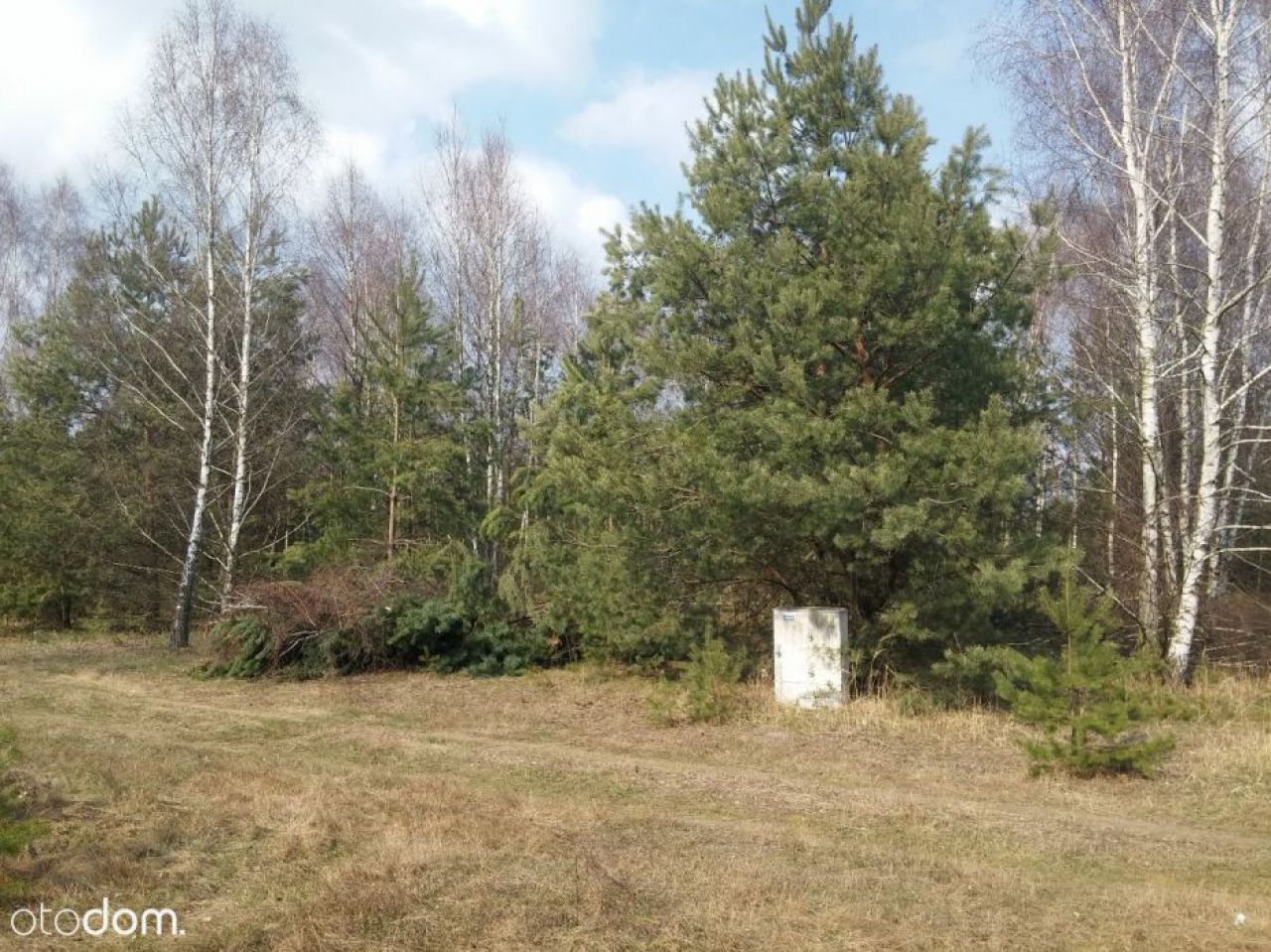Działka budowlana Borowa, ul. Tulipanowa 1