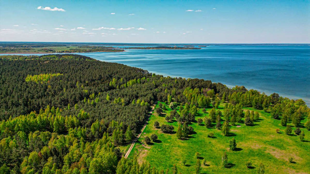 Działka rolno-budowlana Kwik. Zdjęcie 8