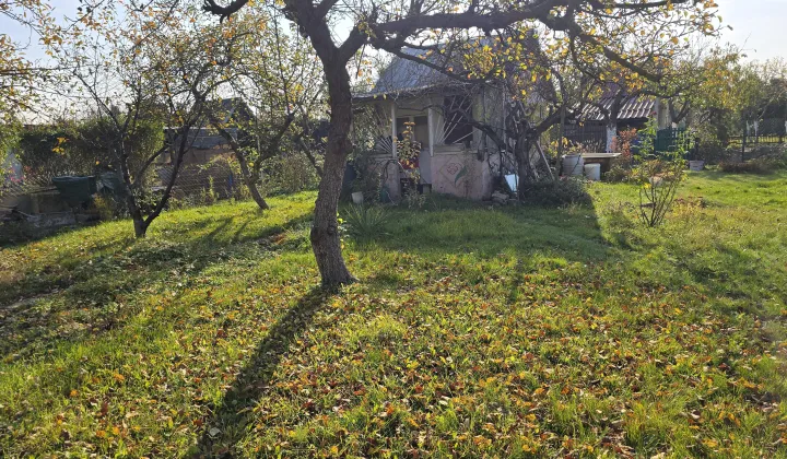 Działka rekreacyjna Jelcz-Laskowice Laskowice, ul. Aleja Młodych