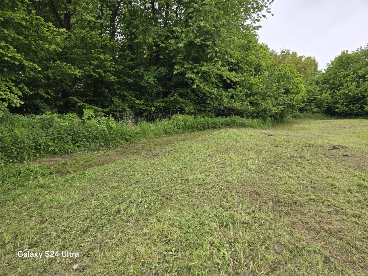 Działka rolno-budowlana Nowy Kamień. Zdjęcie 17