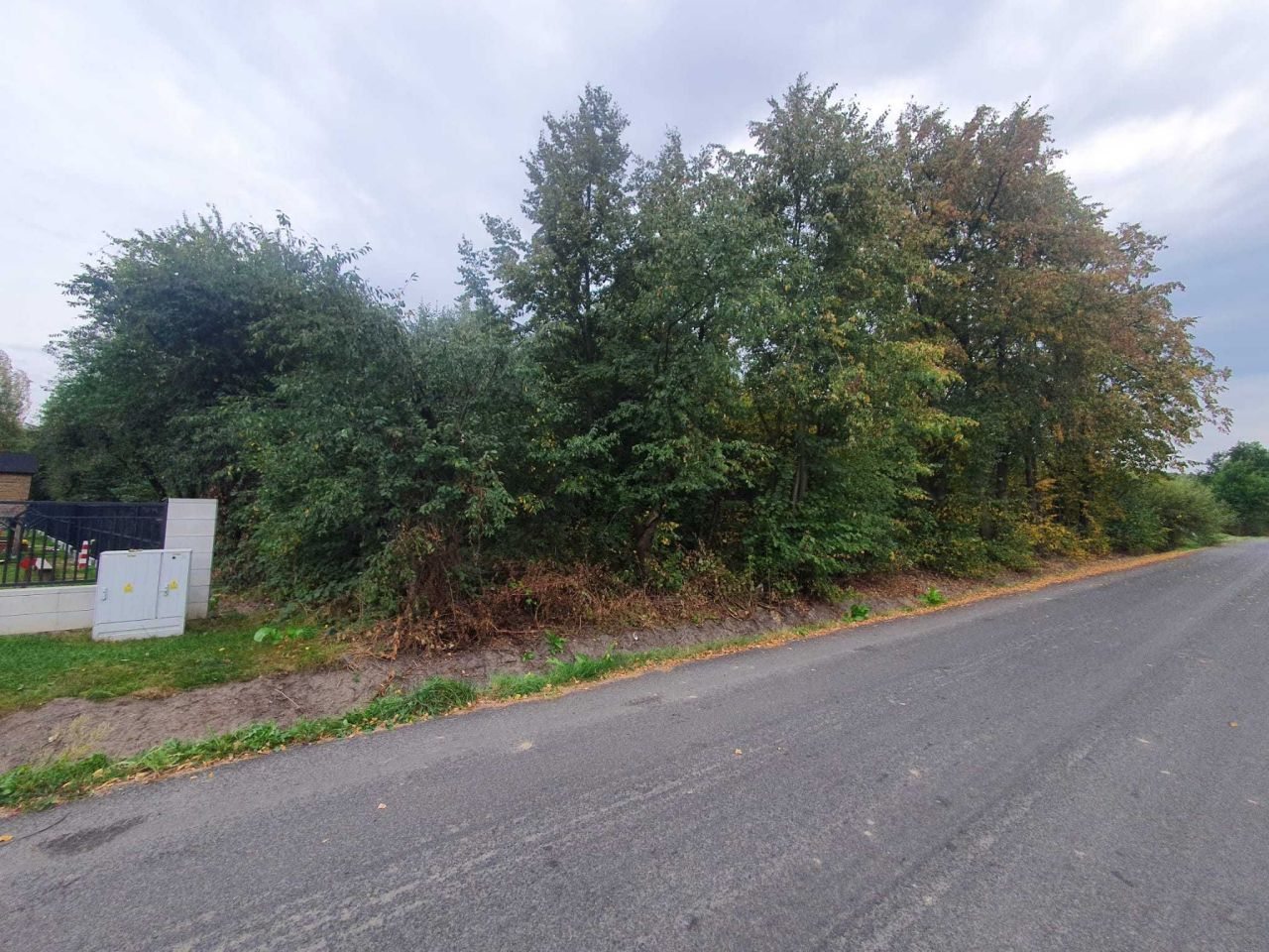 Działka rolno-budowlana Młodocin Mniejszy. Zdjęcie 2