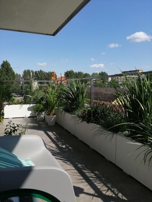 Mieszkanie 3-pokojowe Ełk, ul. Czesława Miłosza. Zdjęcie 7