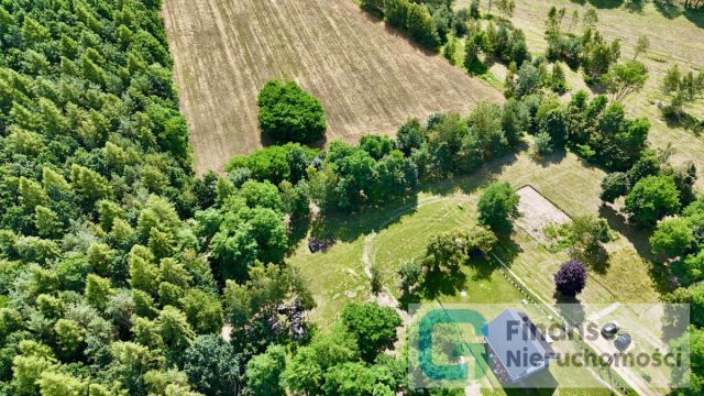 Działka budowlana Wola Pękoszewska. Zdjęcie 3