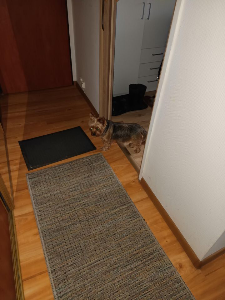 Mieszkanie 3-pokojowe Toruń Na Skarpie, ul. Ludwika Ślaskiego. Zdjęcie 2