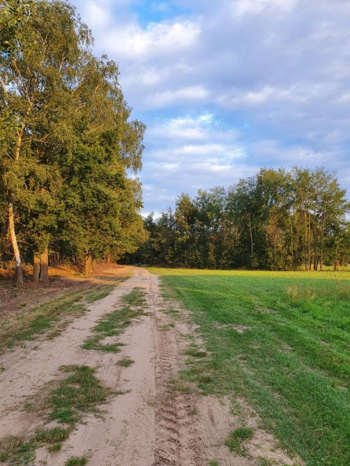 Działka budowlana Chojniki. Zdjęcie 6