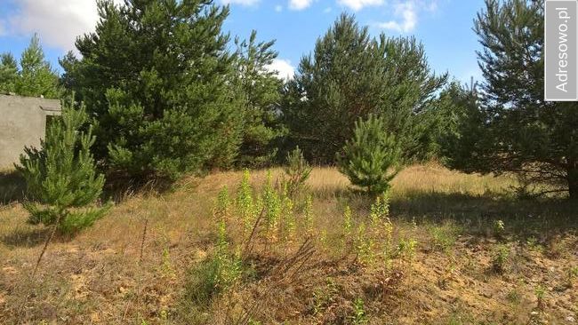 Działka budowlana Łowyń, ul. Nadjeziorna. Zdjęcie 8