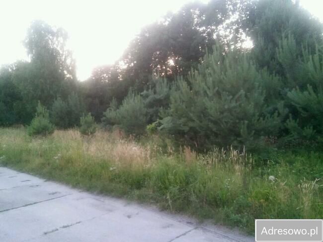Działka rolna Wólka Domaniowska. Zdjęcie 7