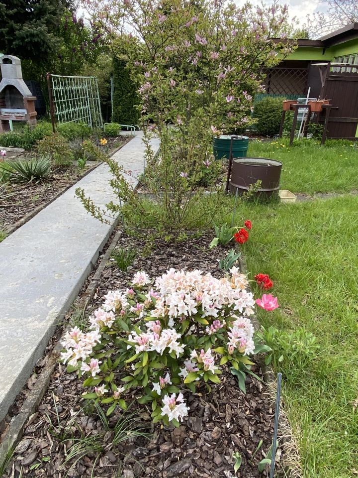 Działka rod Warszawa Bemowo, ul. Dywizjonu 303. Zdjęcie 5