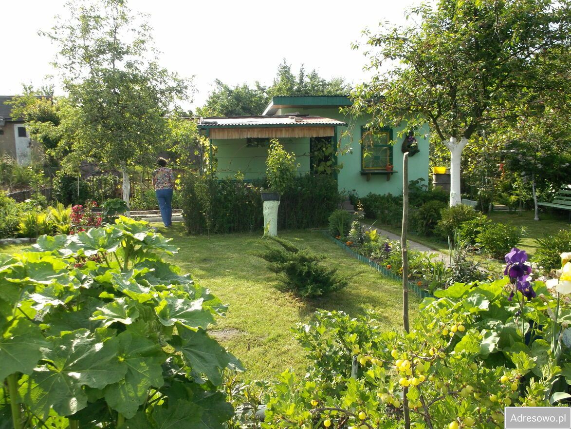 Działka rod Wrocław Osobowice, ul. Weroniki Kumko