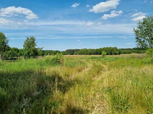 Działka budowlana Zaborówek. Zdjęcie 6