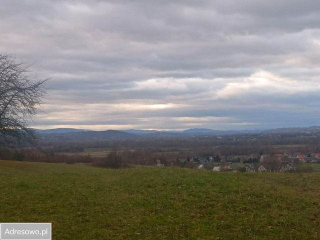 Działka rolno-budowlana Buczyna. Zdjęcie 1